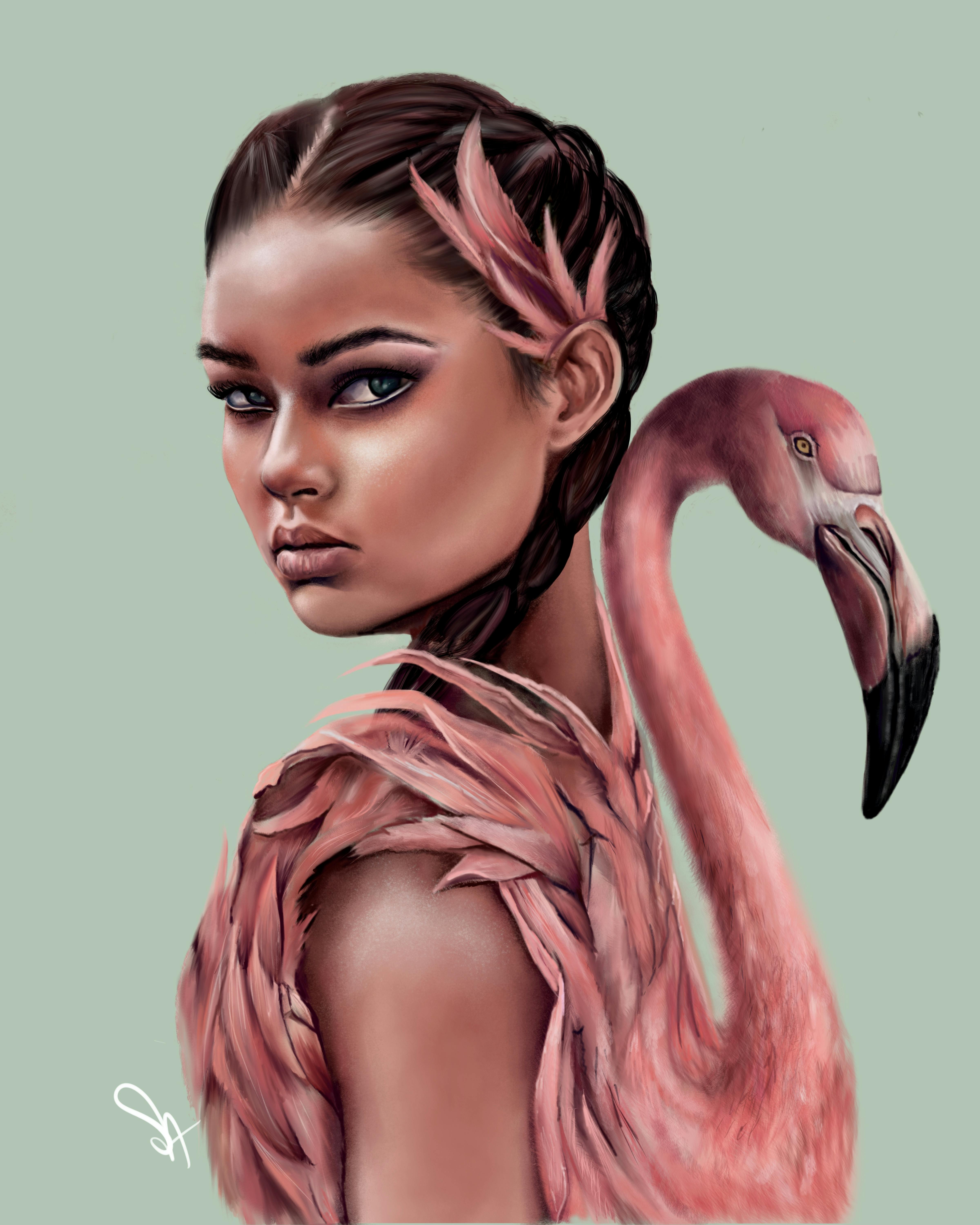 Cover Image for "Flamingo" by Sandra Acosta